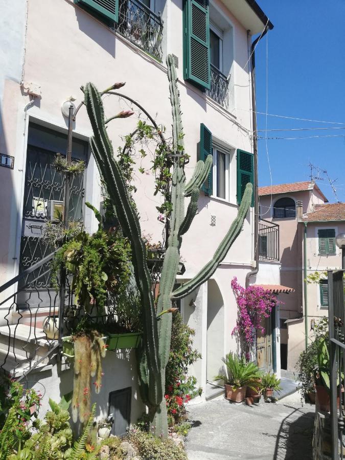 Monolocale Con Giardino E Parcheggio Privato Citra Zero Zero Ottanta Trentuno Lt 0281 Διαμέρισμα Imperia Εξωτερικό φωτογραφία