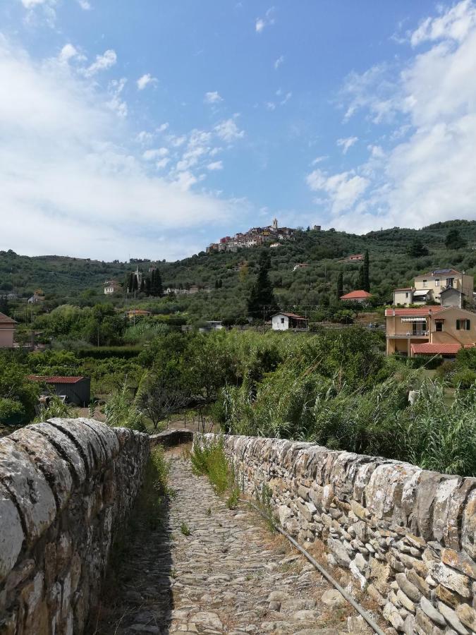 Monolocale Con Giardino E Parcheggio Privato Citra Zero Zero Ottanta Trentuno Lt 0281 Διαμέρισμα Imperia Εξωτερικό φωτογραφία